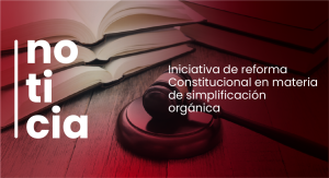 Simplificación orgánica: Nueva iniciativa de reforma constitucional